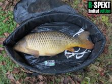 R-SPEKT Podložka SAFETY POOL MAT STANDARD (4)