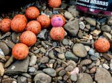 Carp Inferno Boilies Nutra Line Višeň Chilli (4)