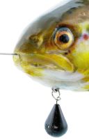Westin Gumová Nástraha Tommy The Trout Inline Headlight Deluxe Trout (1)