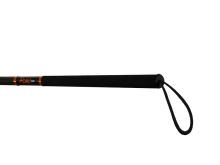 Delphin Podběráková Tyč Atak! Duo (1)