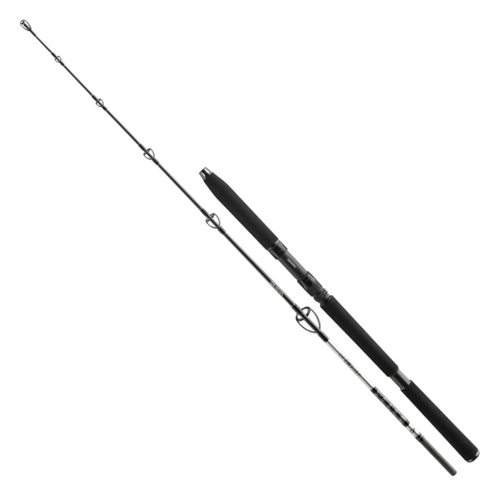 Daiwa prut bg jigger 1,70 m 150-400 g