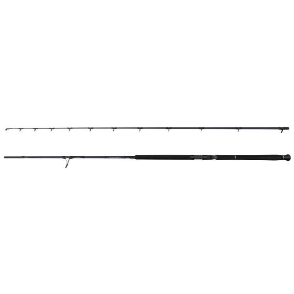 Savage Gear Prut Defiance SG2 Shore Jigging 2,9 m 50-120 g 2-Díl