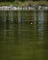 Matrix Splávek Foam Pellet Waggler (8)