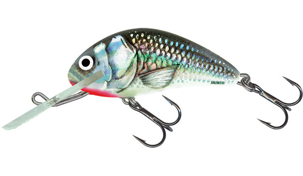 Levně Salmo wobler hornet floating holographic grey shiner-6 cm 10 g