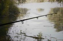 Sportex Prut TW Spin 2,75 m 120-210 g (11)