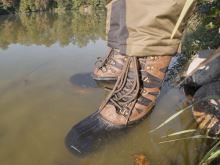 Delphin Boty ProTrax (1)