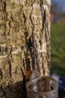 Korum Závěsky Camo Safety Clip Kit QC 4 ks (4)