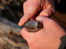 Giants Fishing PVA Sáčky Bags 10 ks (7)