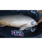 R-SPEKT Podložka Ladies Minor (8)