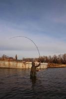 Nikl Prut Bond Girl Power Deluxe Cork 3,66 m (12 ft) 3 lb (9)