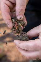 Korum Krmítko Slow Sinking Feeder (5)