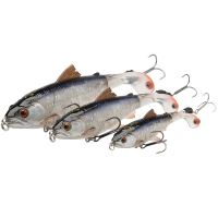 Savage Gear 3D SmashTail Minnow F Roach (1)
