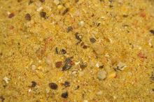 Mivardi Krmítková Směs V1 Kapr Med 3 kg (3)