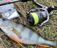 Intech First Splétaná Šňůra Braided Line Braid X8 Green 150 m (3)