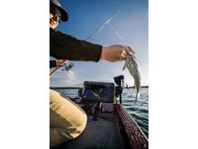 Lowrance Echolot Eagle Eye 9 Live Sonda (14)