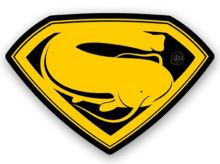 4ANGLERSDESIGN Samolepka 76 Catfish 4ANGLERSDESIGN Samolepka 76 Catfish