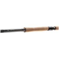 Daiwa Prut Pro Staff Catfish 2,6 m 80-240 g (3)