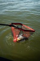 Fox Rage Podběrák Speed Flow Compact Net (10)