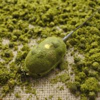 Life Orange Krmítko Method Feeder Roomy Flat (3)