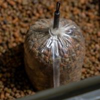 Avid Carp PVA Sáčky Transfer Solid PVA Bag (6)