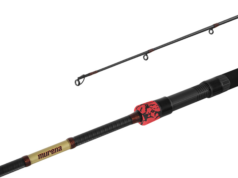 Delphin prut murena power 3 m 125 g