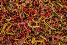 My-Baits Mix Hmyzu Micro Destruction Insects PVA Friendly & Ready To Use 1,5 l (1)