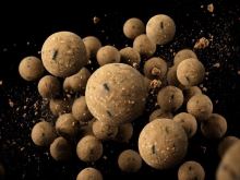 Delphin Vyvážené Boilies BreaX NutCAKE Tygří Ořech Scopex Kukuřice 100 g (1)