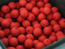 Carp Only Boilies Strawberry Extra (1)