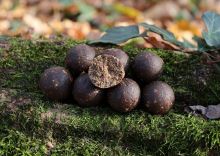 Mivardi Boilies Rapid Platinum ProActive Crazy Liver (2)