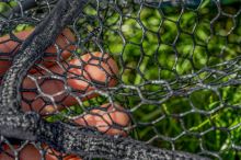 Preston Innovations Podběráková Hlava Monster XS Lift Net (10)