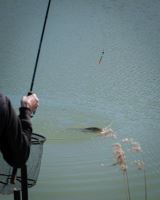 Matrix Splávek 12 mm Foam Pellet Waggler (13)