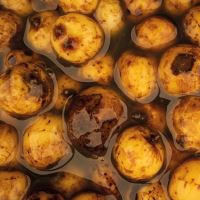 Nash Partikl Sweet Tiger Nuts (1)