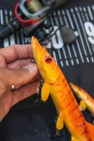 Fox Rage Gumová Nástraha Ultra Realistic Replicant Pike Golden Pike (9)
