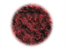 Sportcarp Tvrzené Boilies Hard Ons Mulberry Garlic (3)