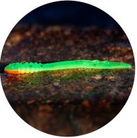 RedBass Gumová Nástraha Micro Tail Fluo Green RH UV COLOR - S 48 mm
