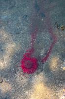 Chytil Boilies Pandemia 24 mm 100 g (5)