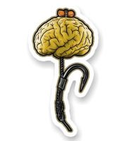 4ANGLERSDESIGN Samolepka 38 Rig With Brain 4ANGLERSDESIGN Samolepka 38 Rig With Brain