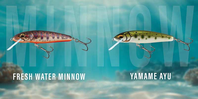 Salmo Wobler Minnow Floating Freshwater Minnow (1)