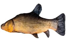 BeCare Polštář Lín Obecný XL 48 cm