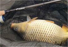 Sportex Prut Xclusive Feeder NT Light 3,3 m 80 g (7)