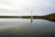 Zebco Třpytka Trophy Z-River Stříbrno Červené Pruhy (5)