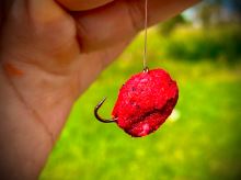 LK Baits nástraha CUC Raisin 50 g (7)