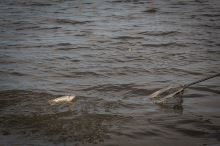 Matrix Krmítko Plastové Spodní Zátěž Medium (9)