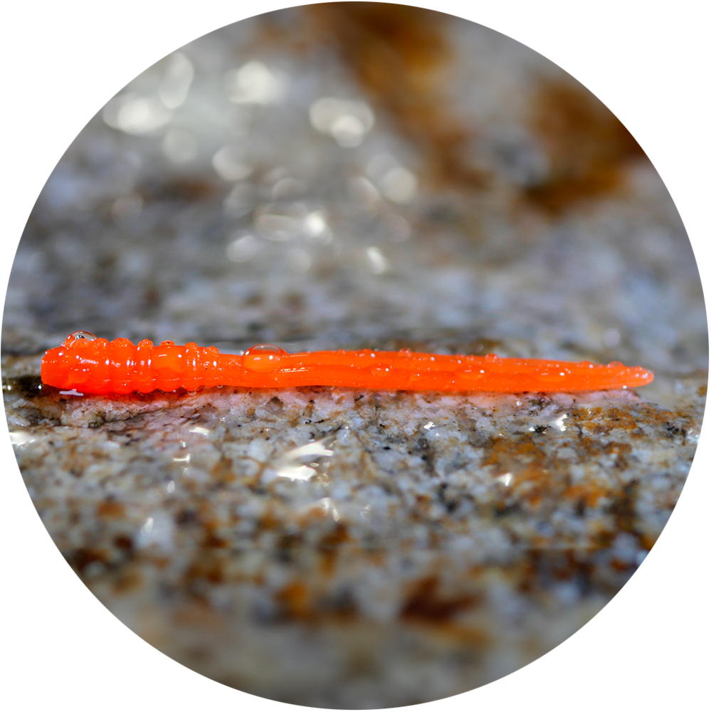 Redbass gumová nástraha micro tail signal orange uv color - s 48 mm