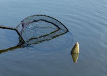 Browning Podběráková Hlava CK Competion Net 50x40x28 cm 2x2 mm (8)