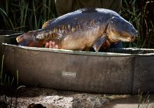 Trakker Podložka Sanctuary Compact Oval Crib (1)