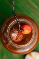 Chytil Booster 300 ml (11)