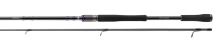 Daiwa Prut Prorex AGS Spin 2,5 m 28-70 g (1)