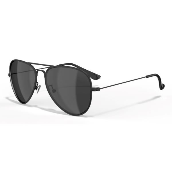 Leech Polarizační Brýle ATW1 Black