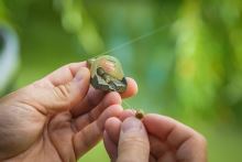 Matrix Krmítko Pellet Feeder (4)